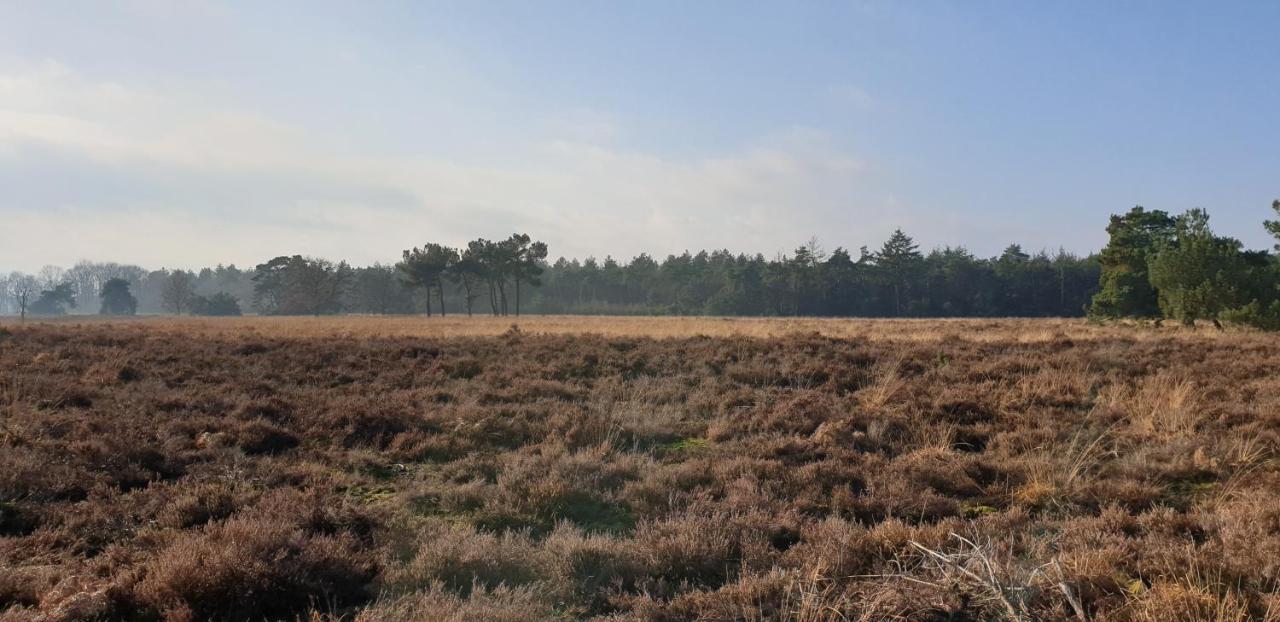 B&B Helene Hoeve Venhorst Buitenkant foto