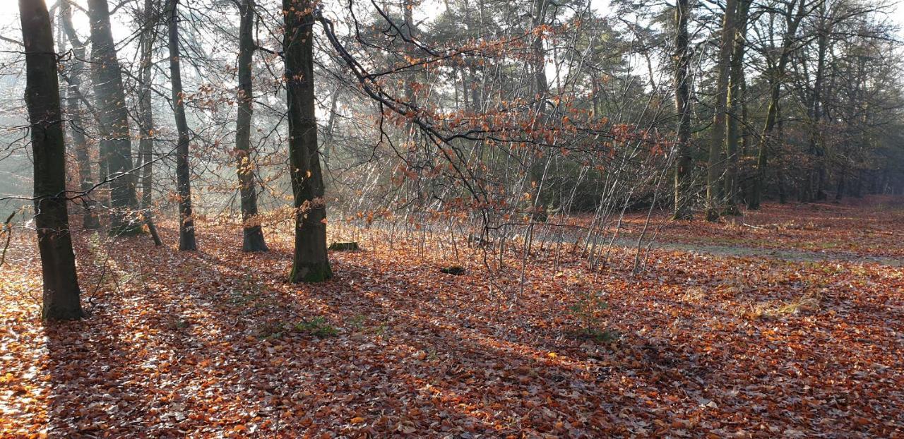 B&B Helene Hoeve Venhorst Buitenkant foto
