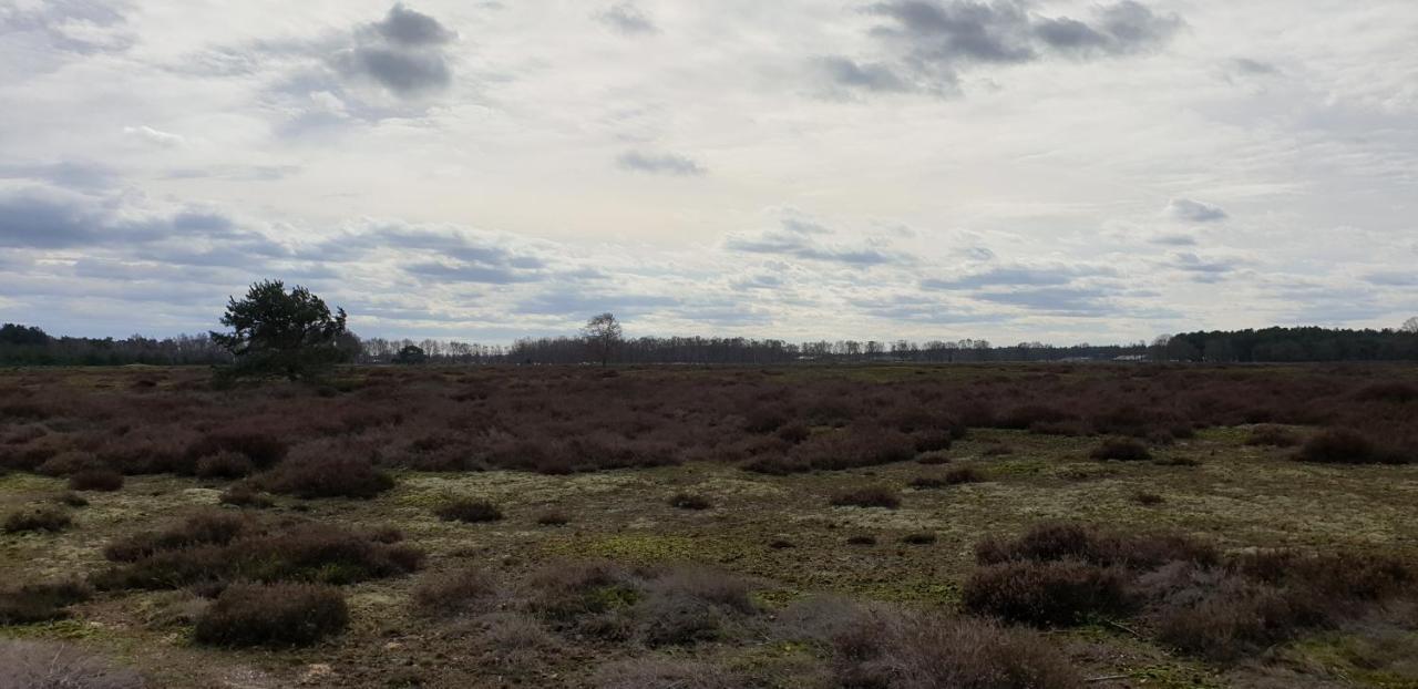 B&B Helene Hoeve Venhorst Buitenkant foto