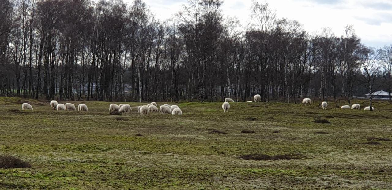 B&B Helene Hoeve Venhorst Buitenkant foto