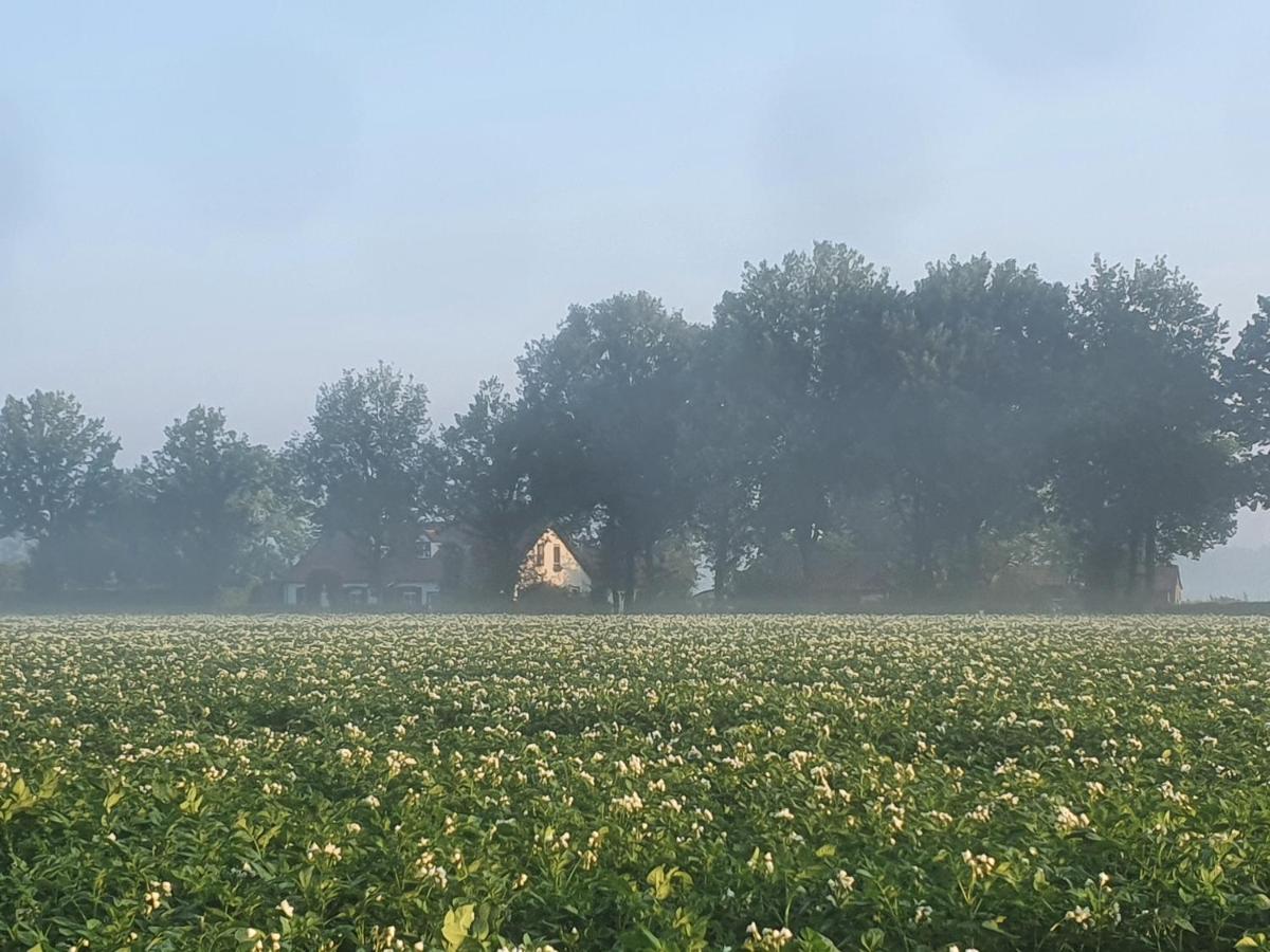 B&B Helene Hoeve Venhorst Buitenkant foto