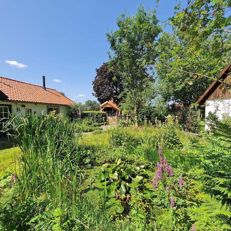 B&B Helene Hoeve Venhorst Buitenkant foto
