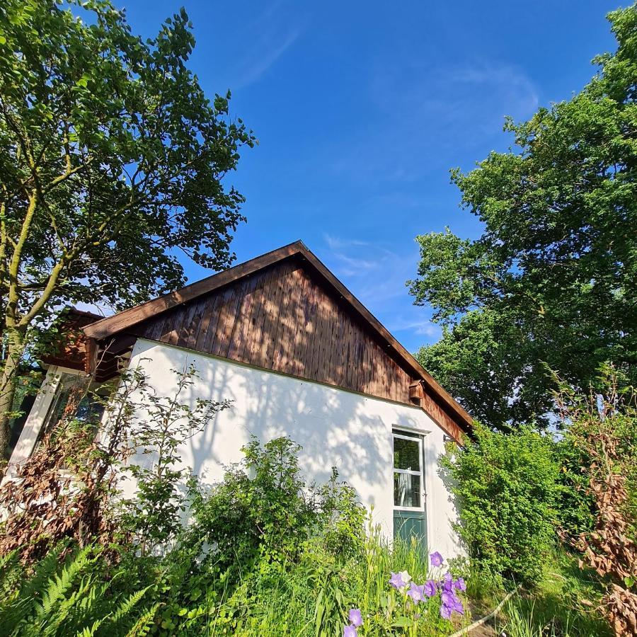 B&B Helene Hoeve Venhorst Buitenkant foto